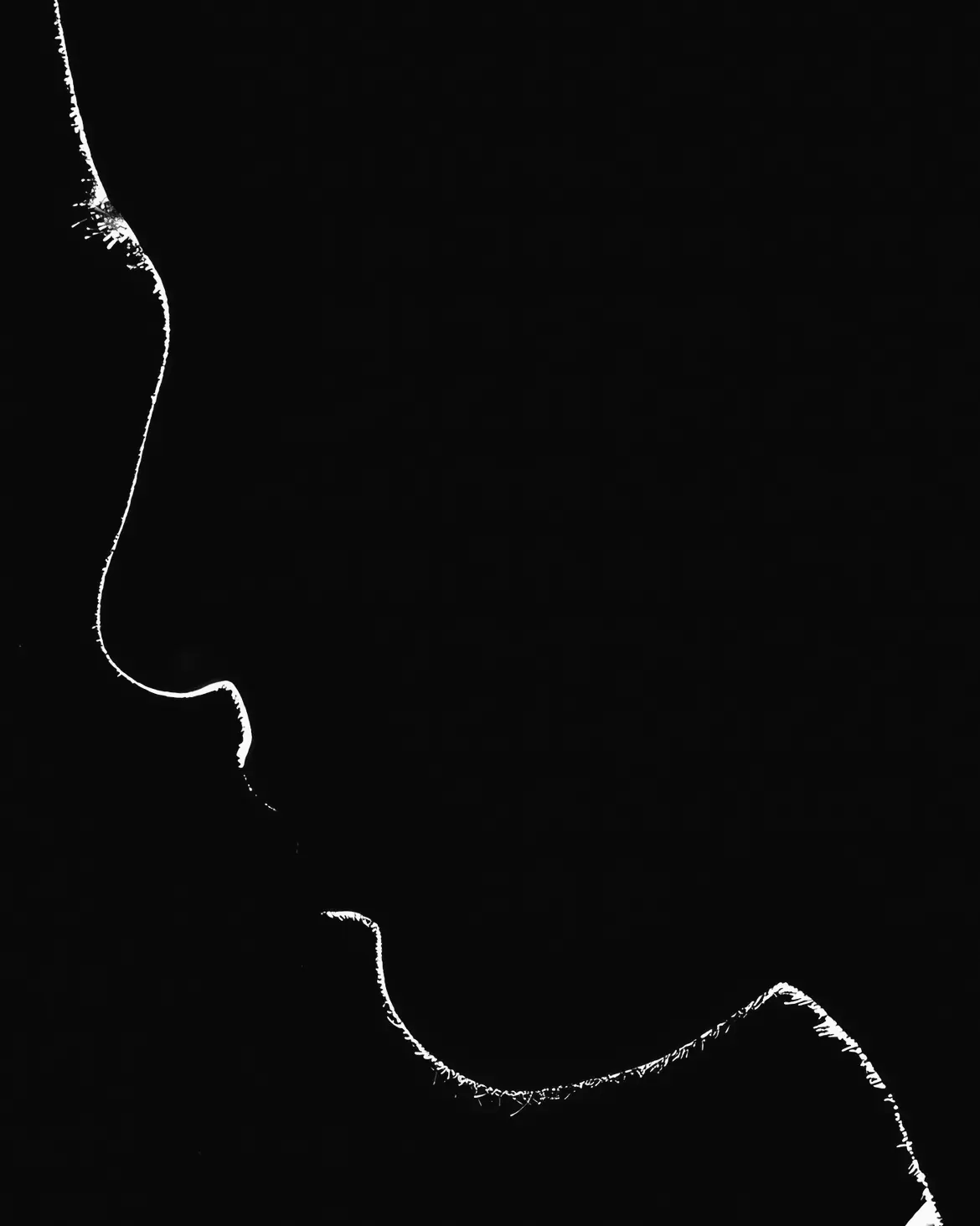 Il profilo del naso nella luce radente.