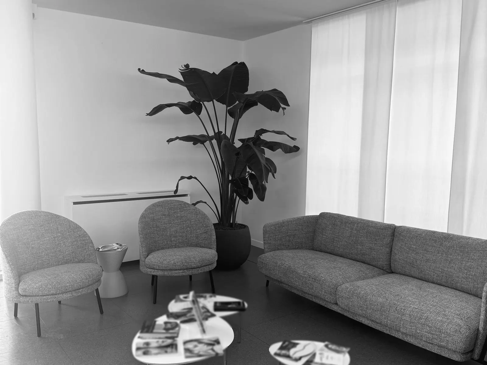La sala d'attesa dello studio di Como, luminosa, col divano e le piante.